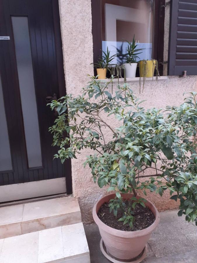 Apartman Zepina PUY Exterior foto